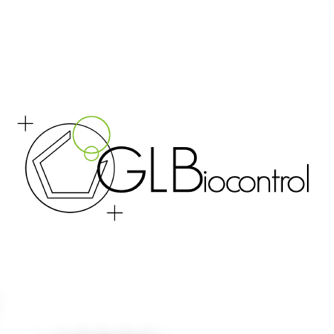 atp-metrie-une-technologie-en-orbite